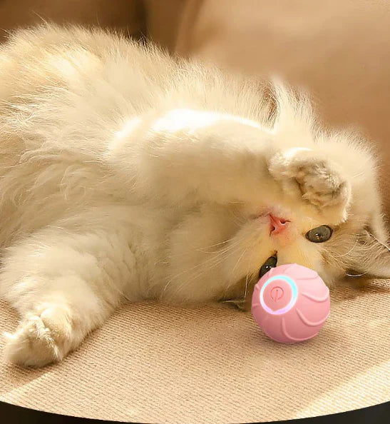 The Smart Cat Ball